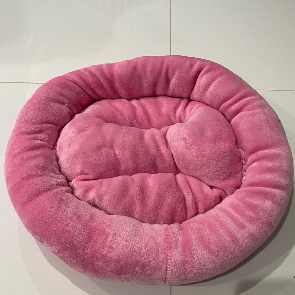 Whisker City® Bolster Cat Bed